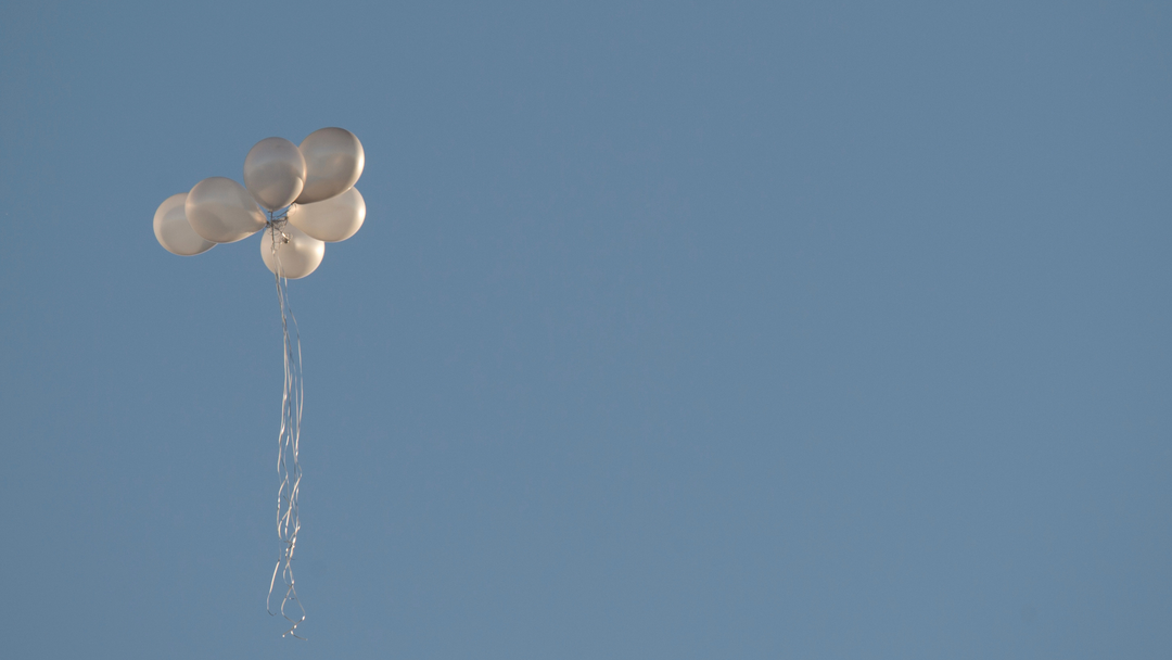 The Environmental and Animal Welfare Impact of Releasing Balloons into the Sky